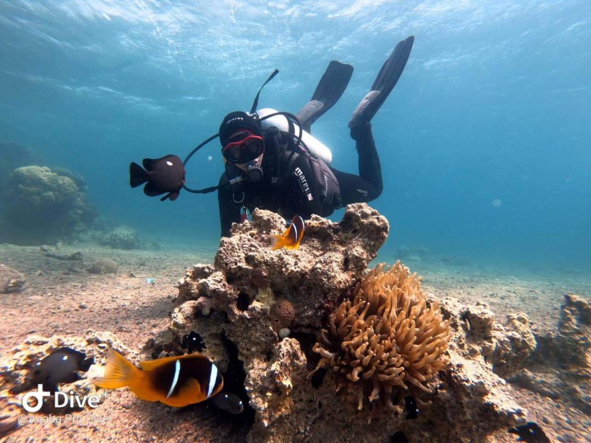 Aqaba Pro Divers Esterno foto