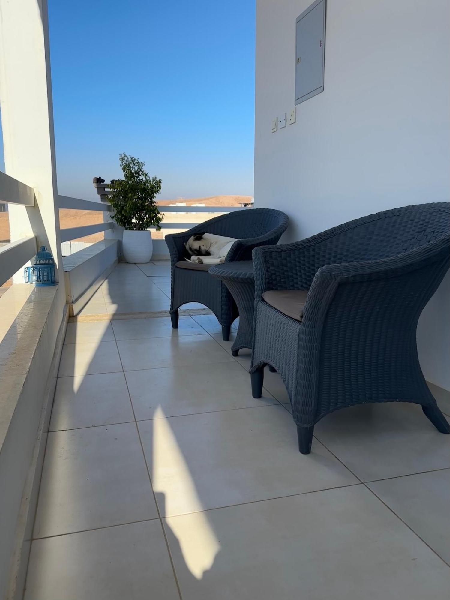 Aqaba Pro Divers Esterno foto