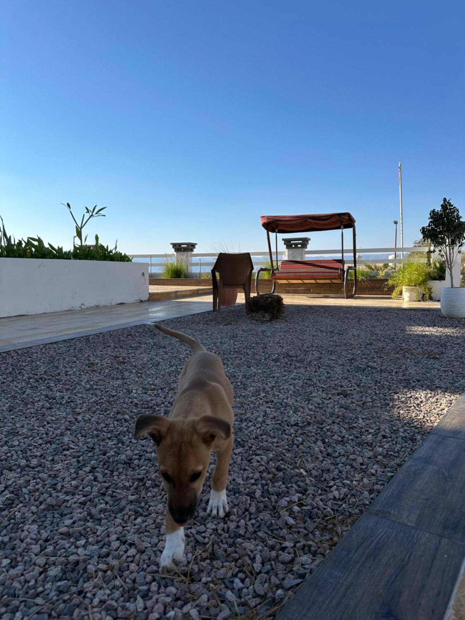 Aqaba Pro Divers Esterno foto